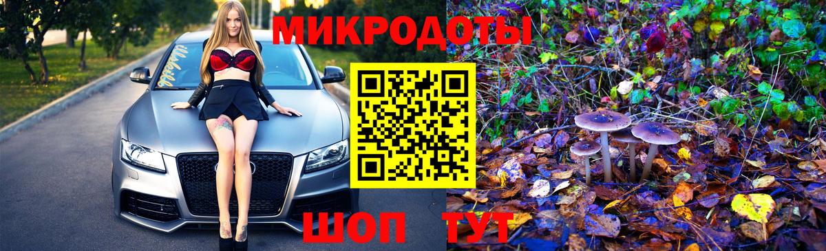 Галлюциногенные грибы прущие грибы  купить наркотик  Шарыпово  Вход с VPN 